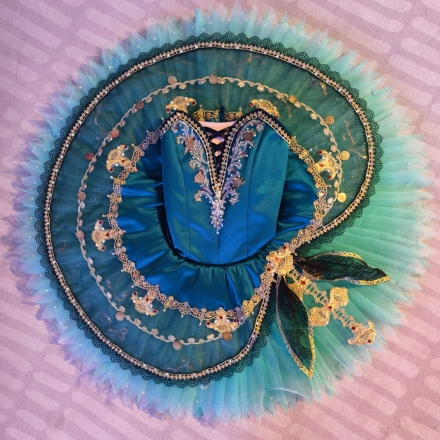 Tutu Costume – CT11-120